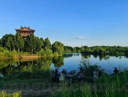 麻豆app下载安装-麻豆App，一站式娱乐体验的秘诀