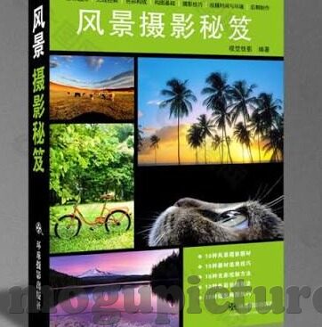 麻豆精东蜜桃果冻传媒-如何在日常素材中创造新的故事，以麻豆精东蜜桃果冻为例